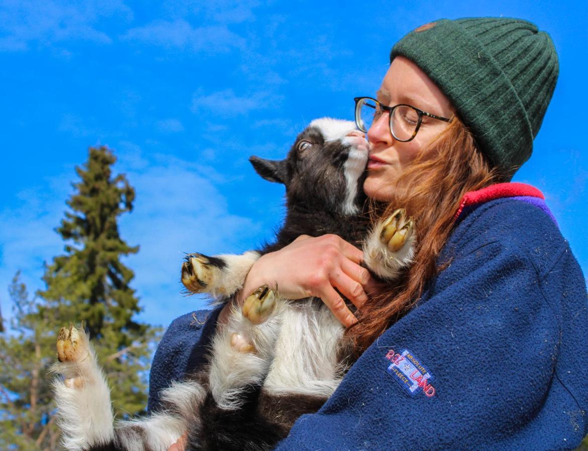 Ajakka Kuusamo Bagian luar foto