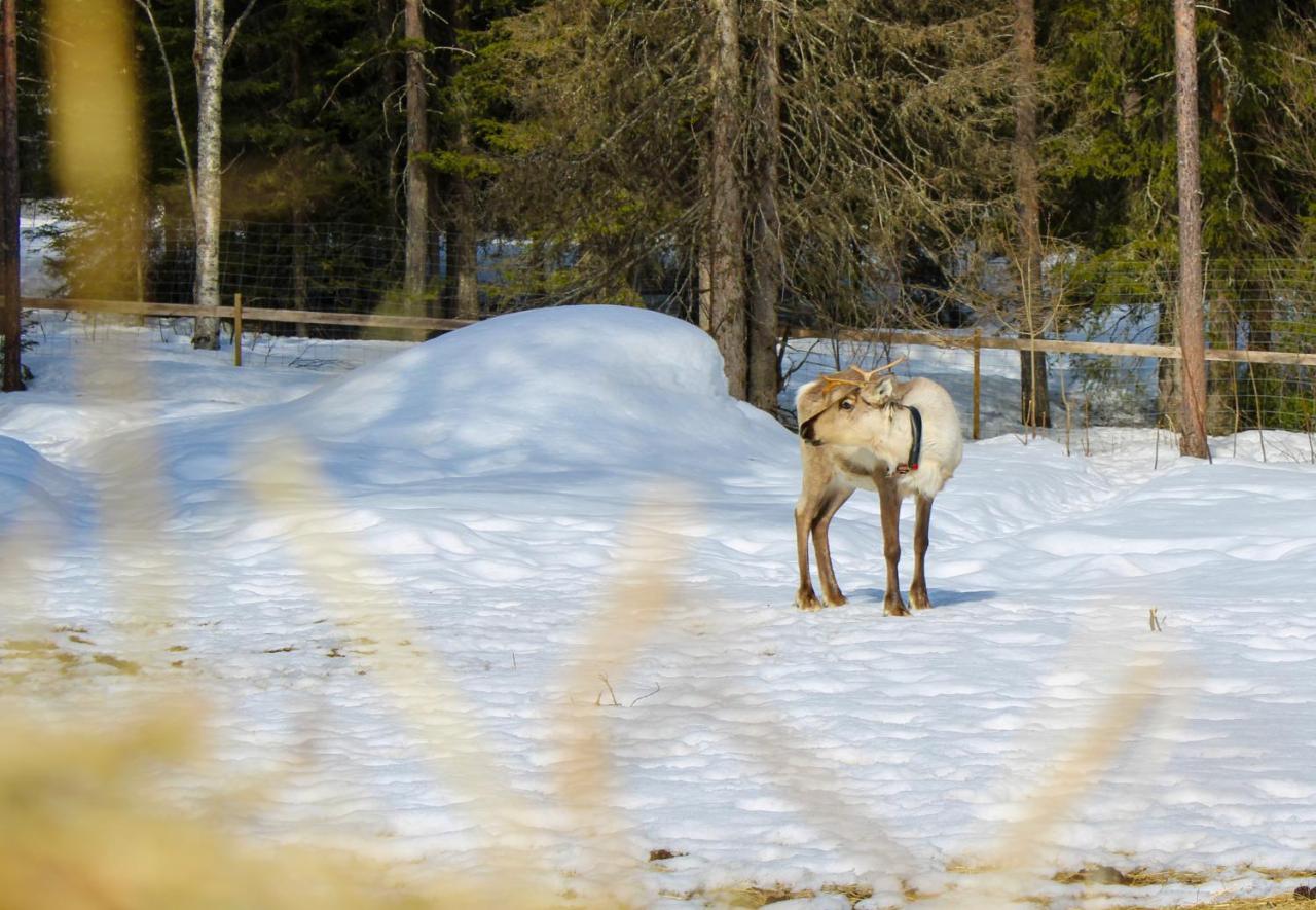 Ajakka Kuusamo Bagian luar foto